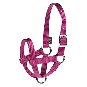 Raspberry L Nylon Alpaca Halter