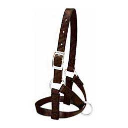 Brown L Nylon Alpaca Halter