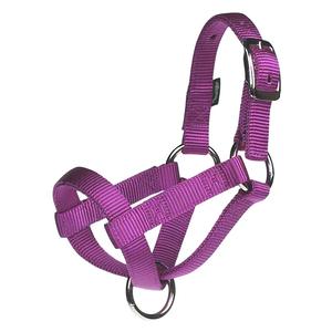Purple Jazz Kid Nylon Goat Halter