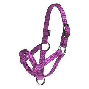 Purple Jazz Buck Nylon Goat Halter