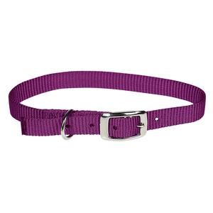 Purple Jazz Kid (5/8