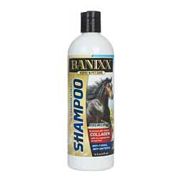 Banixx Anti Fungal Anti Bacterial Shampoo for Horses Pets