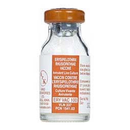 ERY VAC 100 Erysipelothrix Rhusiopathiae Vaccine for Swine
