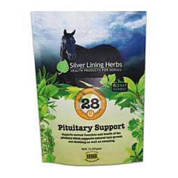 28 Pituitary Support Herbal Formula for Horses