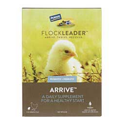 FlockLeader Arrive for Chickens