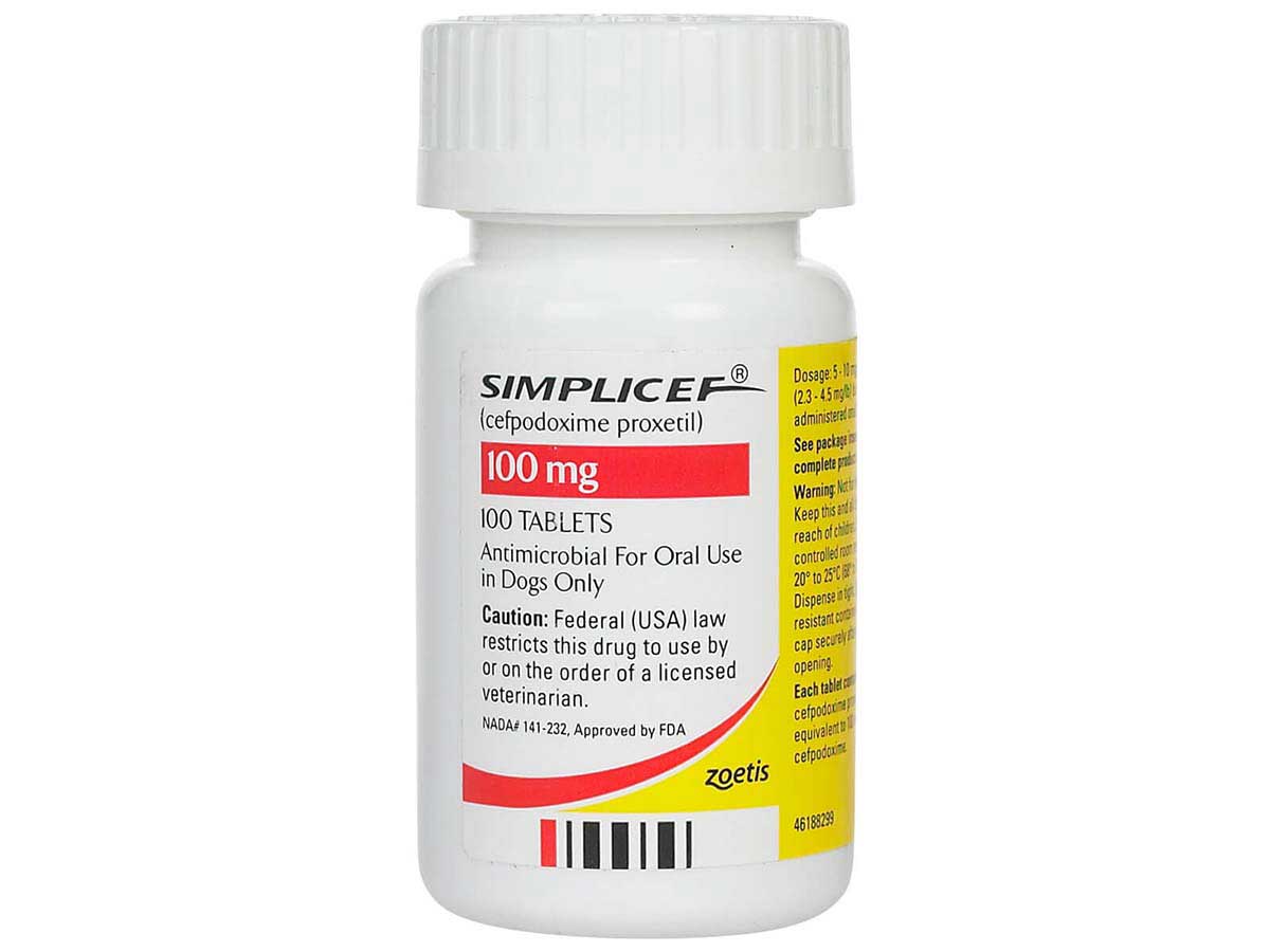 Simplicef Tablets for Dogs Zoetis Animal Health ( Pet Pharmacy (Rx
