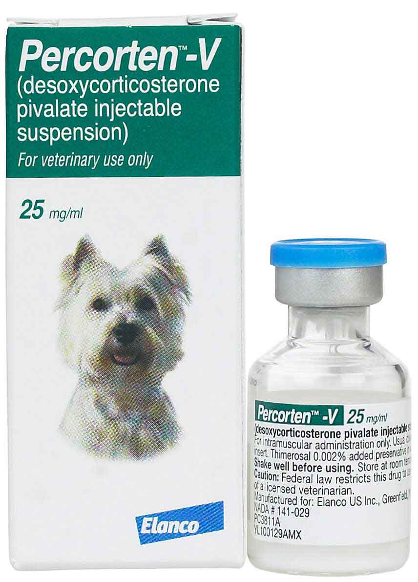 percorten-v-injectable-for-dogs-addison-s-disease-treatment-novartis