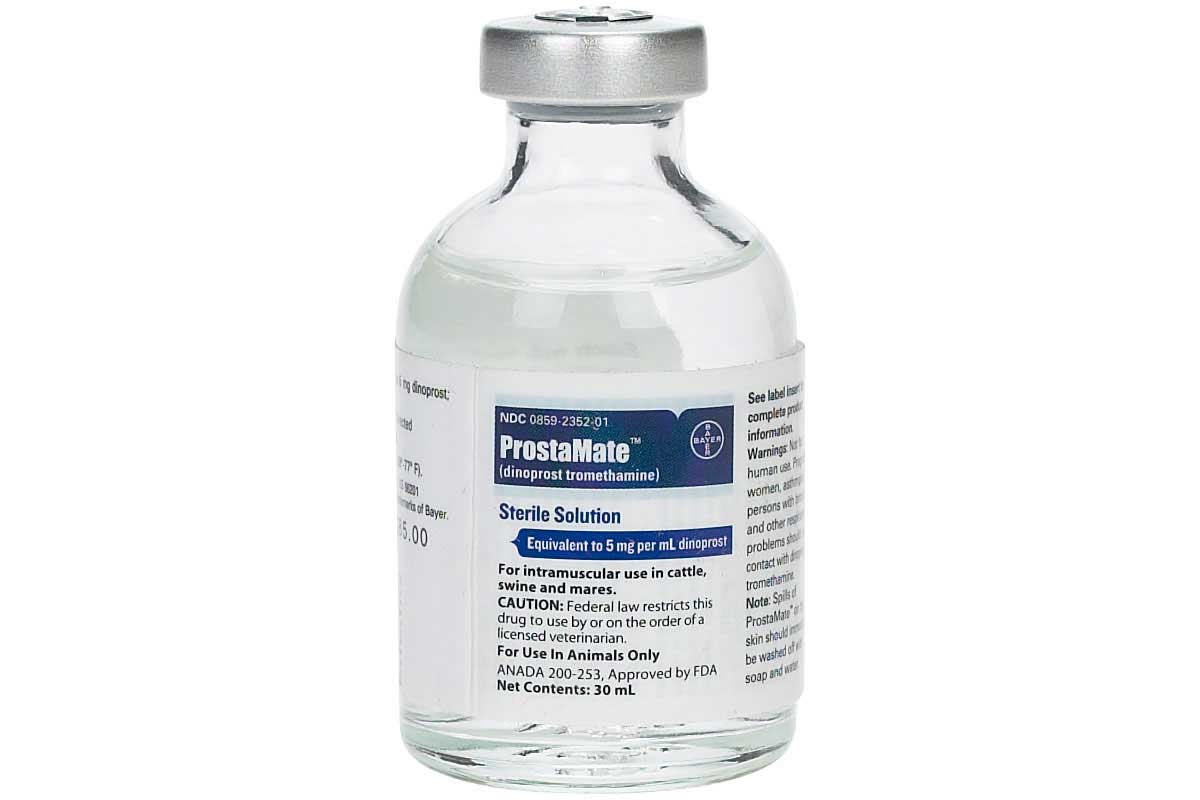 907RX_L_vvs_000.jpg