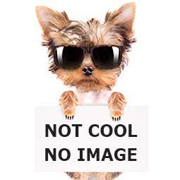 Promo - 10% Off Select Products Chat Savings no image available