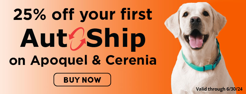 25% off your first Auto-Ship on Apoquel & Cerenia - Buy Now