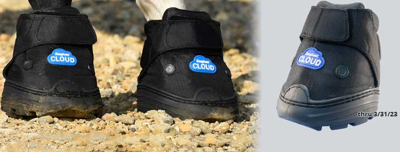 Easyboot Cloud Hoof Boot
