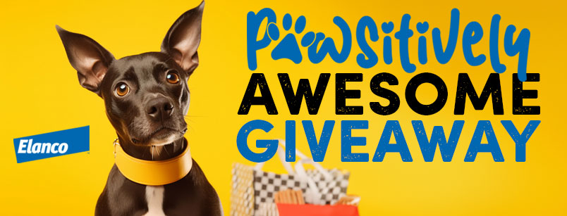 Pawsitively Awesome Giveaway - Five $100 Shopping Spree Winners