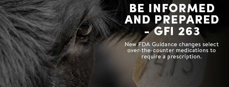 Be Informed and Prepared – GFI 263