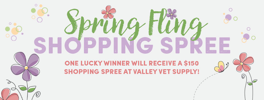 SPRING FLING SHOPPING SPREE - Hurry! Deadline is March 22, 2024.