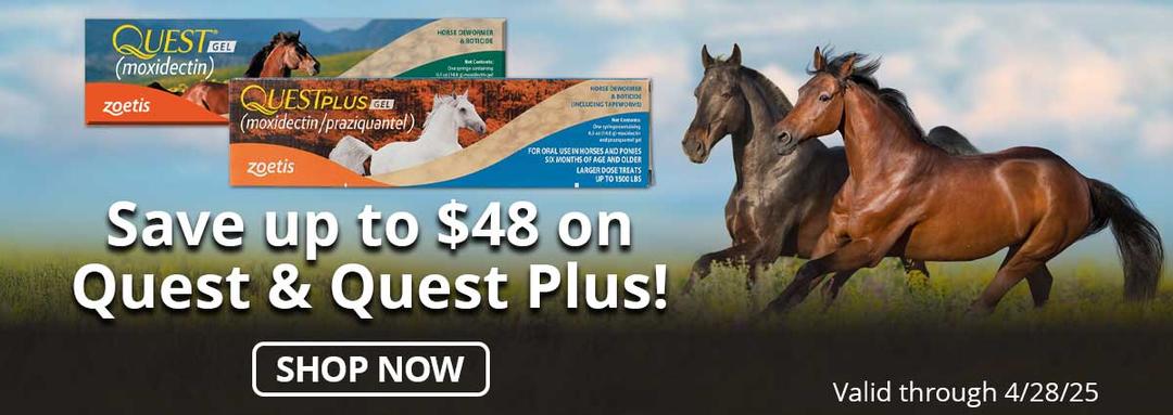 Save up to $48 on Quest & Quest Plus! Valid through 4-28-25.