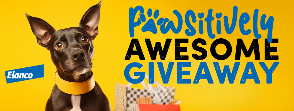 Pawsitively Awesome Giveaway - Five $100 Shopping Spree Winners