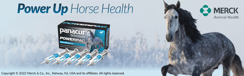 Panacur PowerPac Horse Dewormer