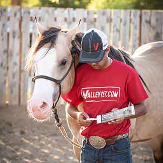 horse-supplies-tack-health-stable-gear-valley-vet