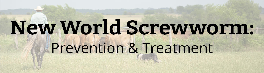 New World Screwworm - Prevention & Treatment