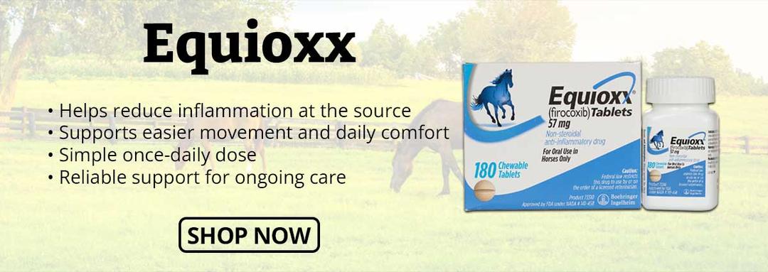 Equioxx - Shop Now