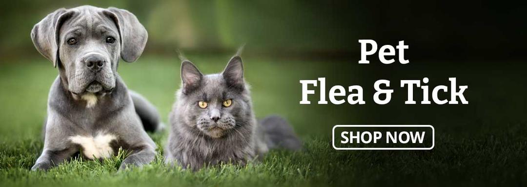 Shop Pet Flea & Tick!