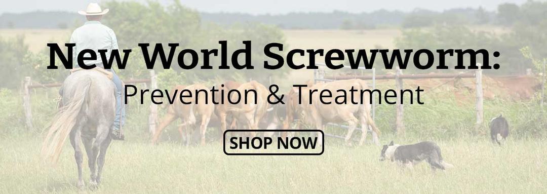 New World Screwworm - Prevention & Treatment