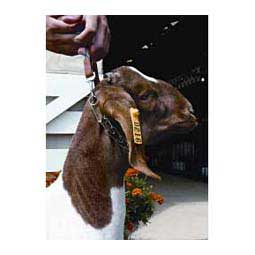 Pronged Goat Neck Chain with Leather Handle Item # 10022