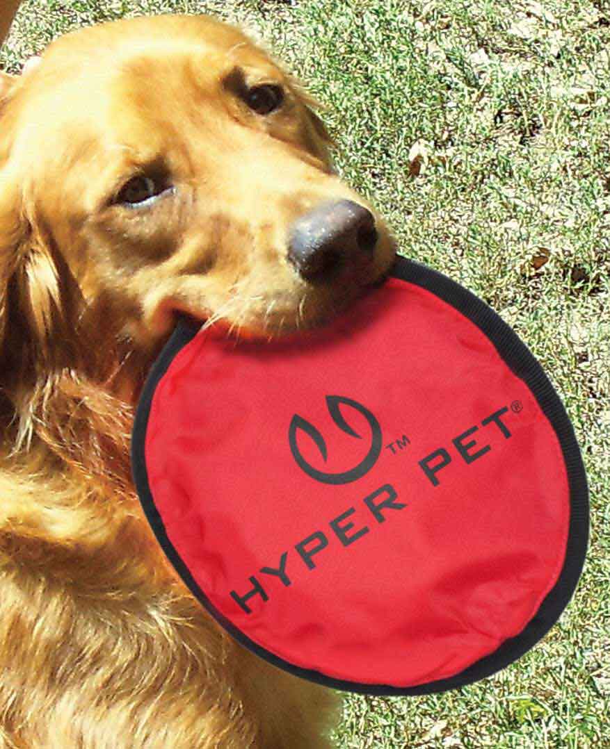 floppy frisbee for dogs