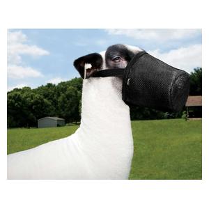 No-Chafe Mesh Muzzle Weaver Livestock