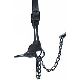 Black Magic Leather Cattle Show Halter Item # 14498