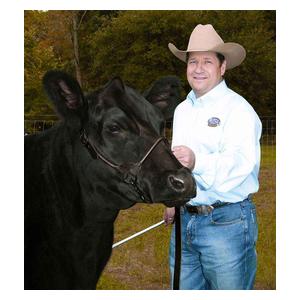 Black Magic Leather Cattle Show Halter Weaver Livestock