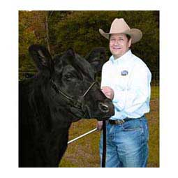 Black Magic Leather Cattle Show Halter Weaver Livestock