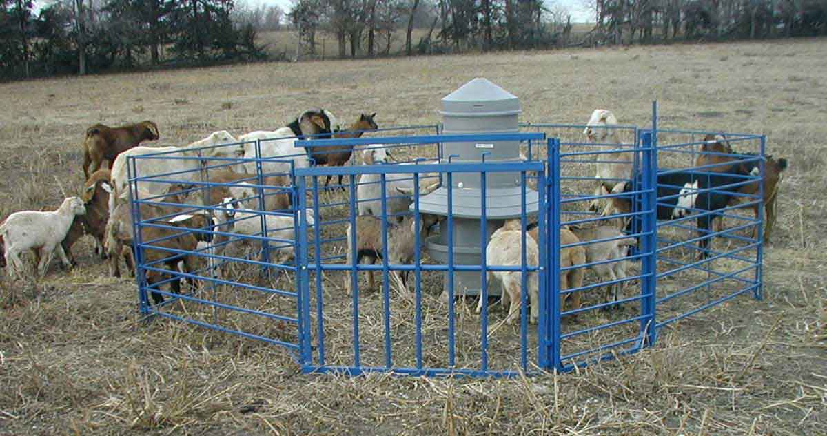 creep feeder for cattle creep feeder for cattle