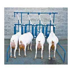 Self-Standing Milking Parlor  Sydell