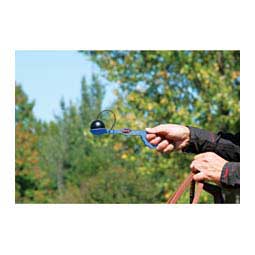 Stacy Westfall Egg & Spoon Training Tool Item # 15861