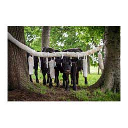 Cattle Rub Item # 16481
