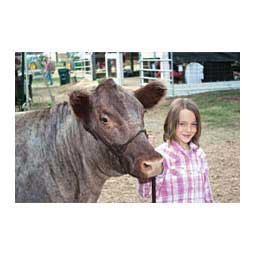 Brown Bombshell Leather Cattle Show Halter Item # 16660