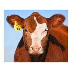 Allflex Global Numbered Large (Calf) ID Ear Tags Item # 16832