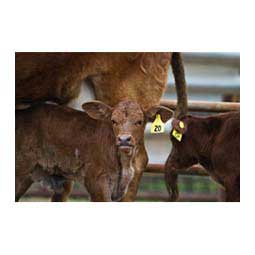 Allflex Global Numbered Large (Calf) ID Ear Tags Item # 16832