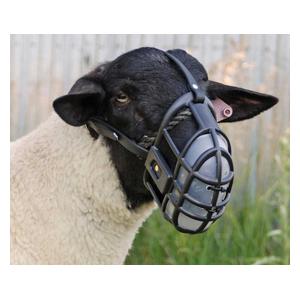 Plastic Sheep Muzzle Weaver Livestock