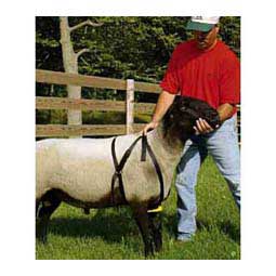 Ewe Marking Harness  Premier Sheep Supplies