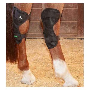 MagNTX Magnetic Therapy Hock Wraps Item # 17975