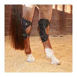 MagNTX Magnetic Therapy Hock Wraps  Classic Equine
