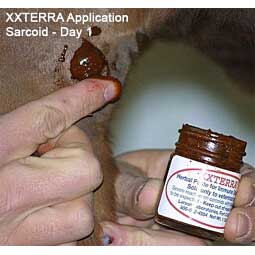 Xxterra Herbal Paste for Animal Use Item # 18434