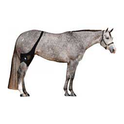 Ice Horse Stifle Wraps Item # 18464