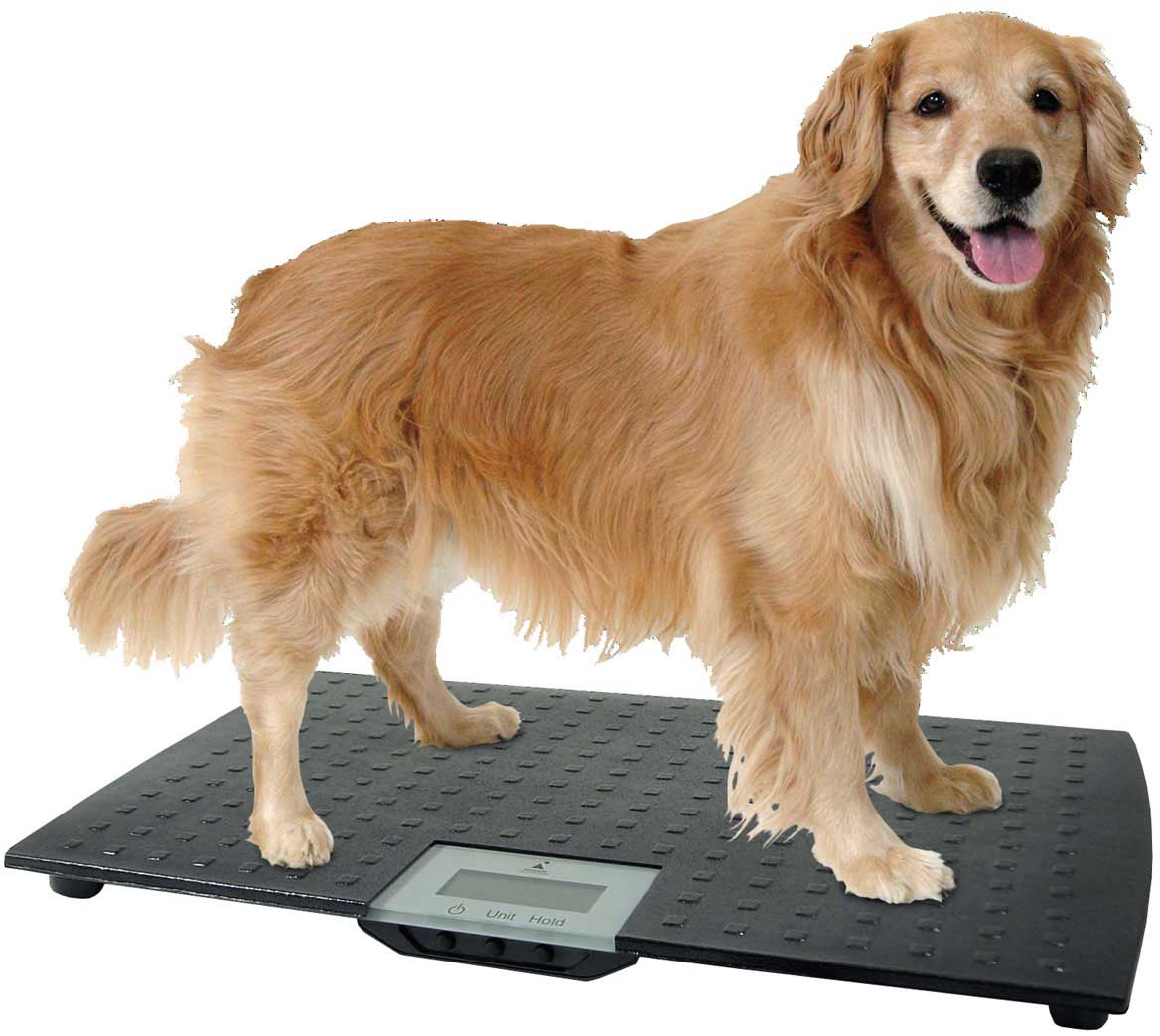 Redmon Digital Pet Scale Large