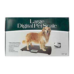 Large Digital Pet Platform Scale Item # 18555