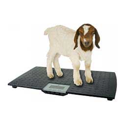 Large Digital Pet Platform Scale Item # 18555