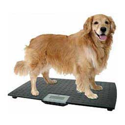 Large Digital Pet Platform Scale W C Redmon