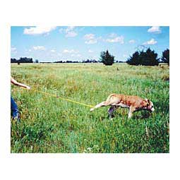 Safe-T-Katch Calf Catcher Item # 19544